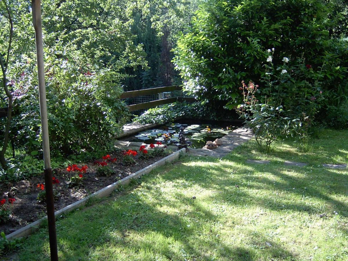 Hotel Berg Toboz Panzió Pécs Pokój zdjęcie