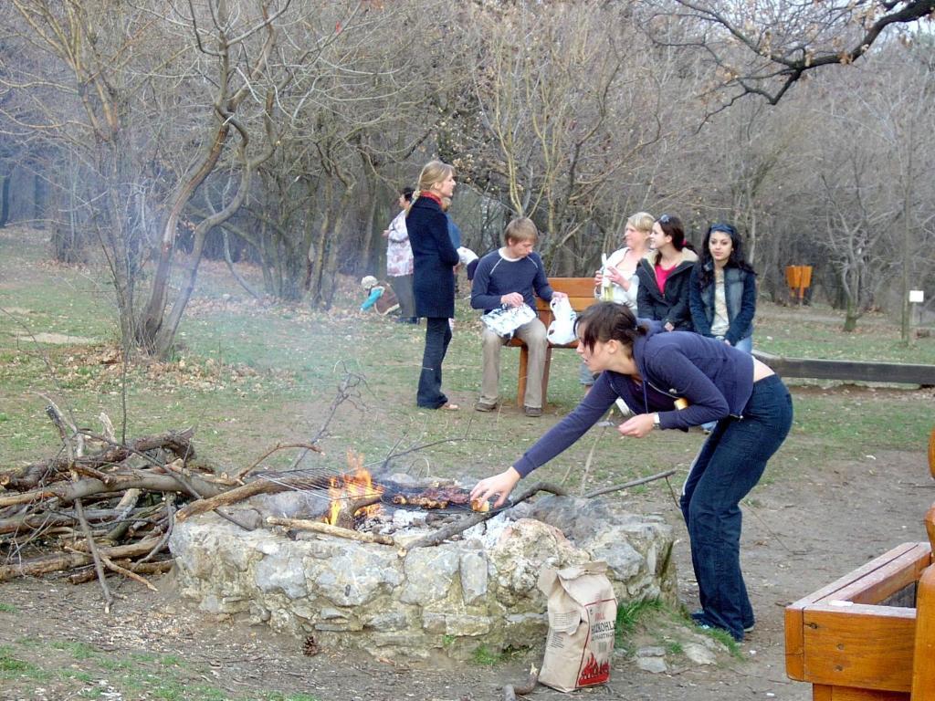 Hotel Berg Toboz Panzió Pécs Zewnętrze zdjęcie