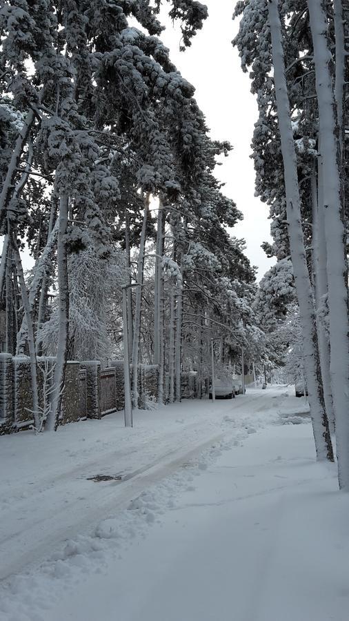 Hotel Berg Toboz Panzió Pécs Zewnętrze zdjęcie